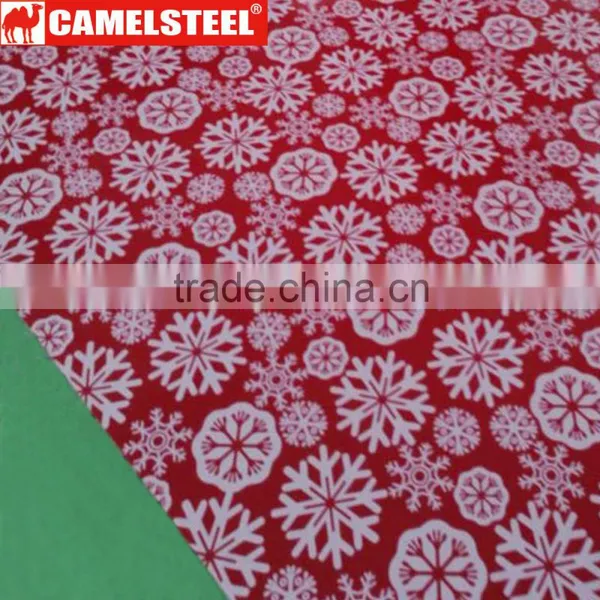 Decoration Galvanized Steel Sheets in Roll photo-2