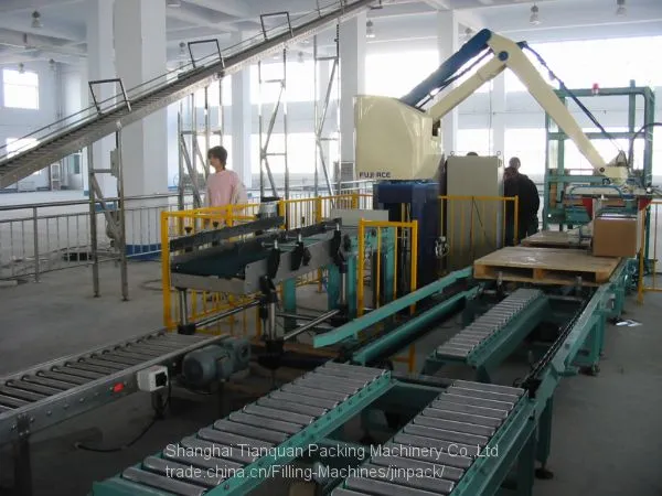 Robot Palletizing Machine photo-4