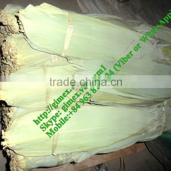 Dry Bamboo Leaf photo-2