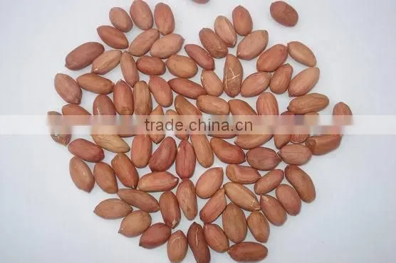 Peanuts and Nuts and Kernels