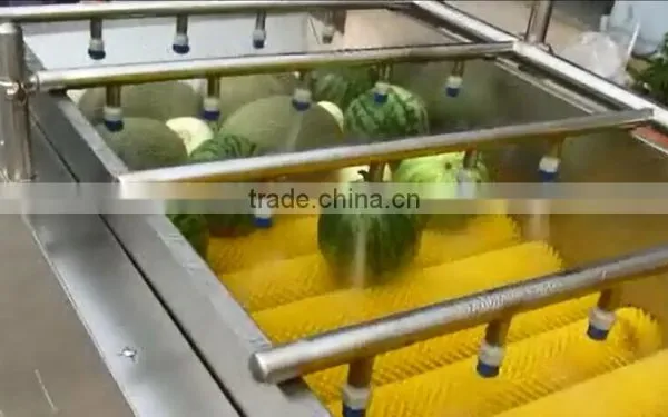 Automatic Vegetable and Fruit Apple Orange Washer Spray Washing and Drying Machine photo-2