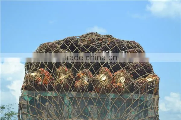 Singapore Wilmar Partner 20TPH Palm Oil Plant photo-4