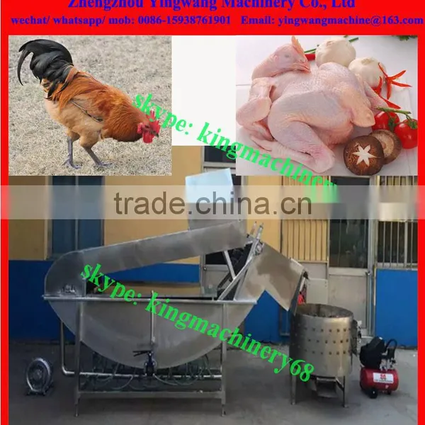 poultry duck goose chicken scalding and defeathering machine