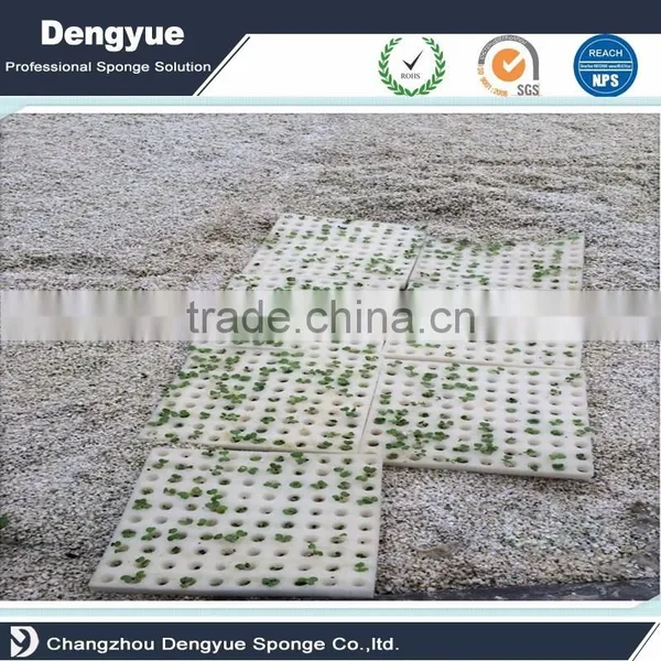 Agricultural Soilless Vertical Cell Seed Foam Tray photo-3