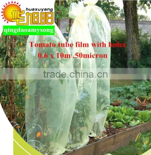 Green Color PE Agricultural Plastic Perforated Film With UV for Protective Tomato Tree photo-4