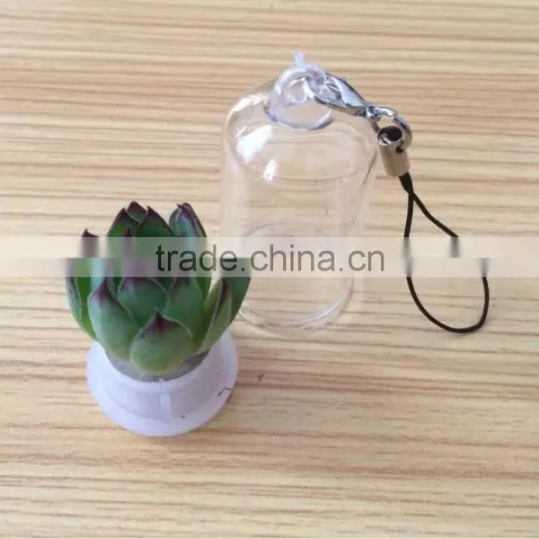 Wholesale Factory Cheap Glass Potted Meaty Cactus Plant Keychain, Super Mini Personal Gift Decorative Keychain Plant Design photo-5
