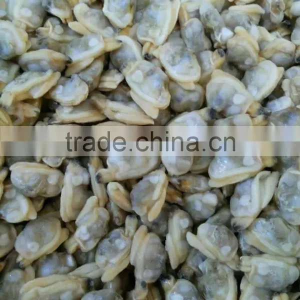 Frozen Cooked Short Necked Clam Meat Produced in China photo-2