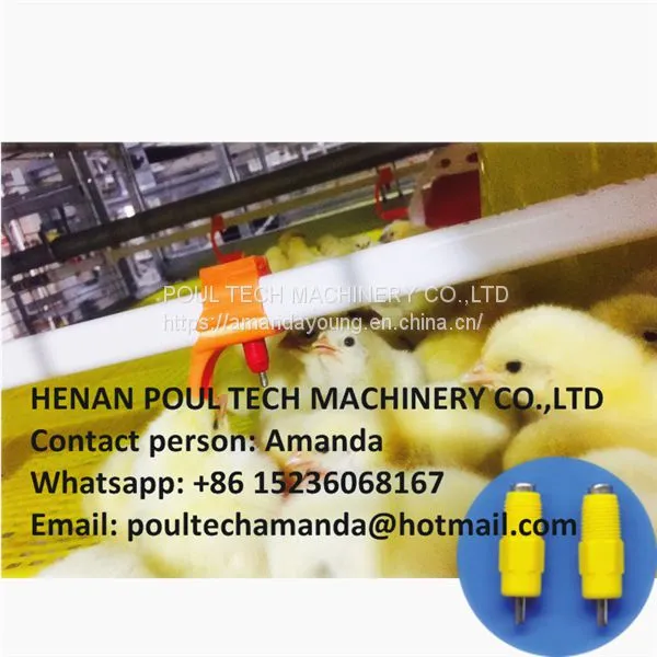 Ethiopia Poultry House & Chicken Farm Plastic Saltted Floor System for Broiler & Floor Raising System With Nipple Drinker System & Feeding Pan System photo-2