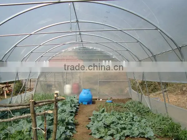 Plastic Film Covered Horticultural Greenhouse photo-3