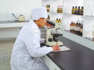 2021 Hot Sale Span 60 Sorbitan Stearate Cas No.:1338-41-6 Emulsifier Span 60 photo-5
