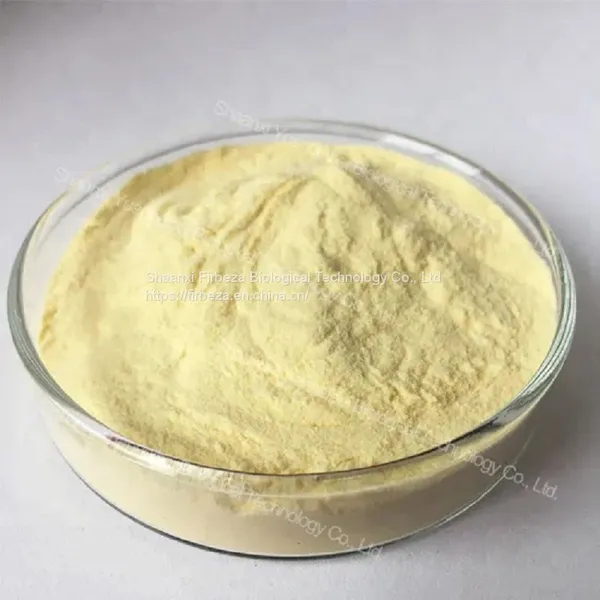 Wholesale Price 100% Pure Natural Plant Aloe Vera Leaf Extract Aloin Powder photo-3