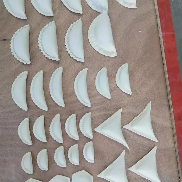 Dumpling/Pie Machine for Different Shapes Dumpling Production Industry/Family Use Dumpling Maker photo-5