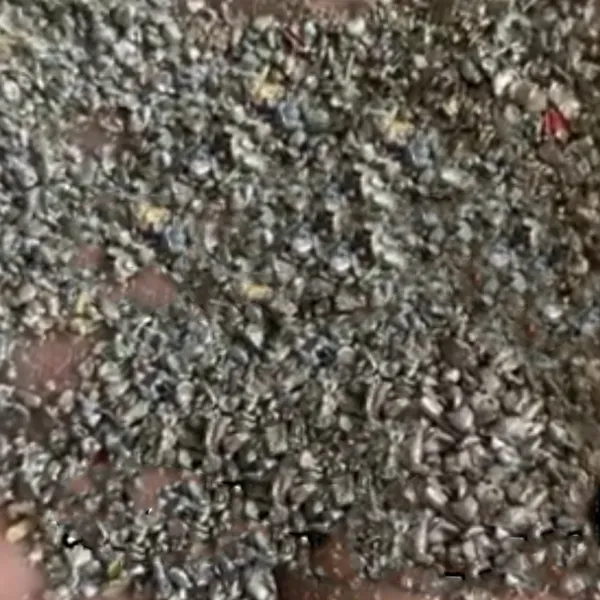 Can Crusher Scrap Aluminum Sheet Crusher Electronic Board Crusher for Sale photo-2