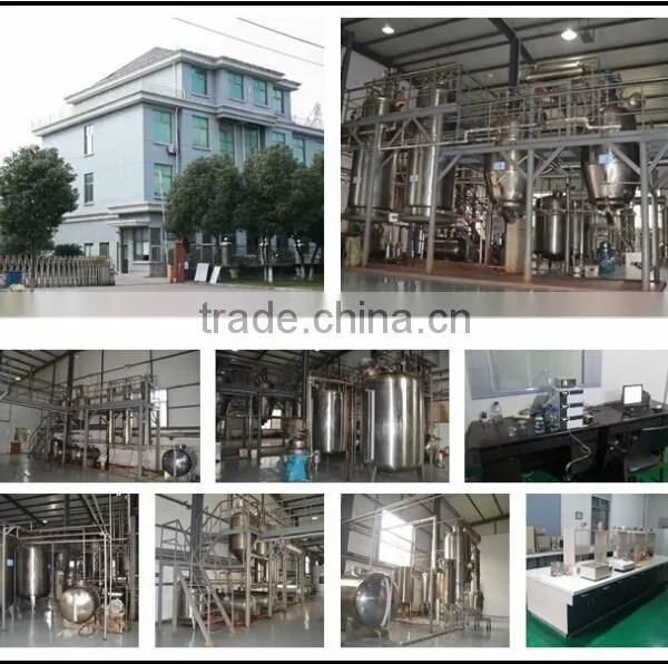 Professional Factory of Yohimbine Extract Powder photo-3