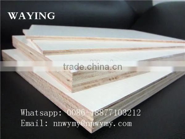 Sea Plywood photo-2