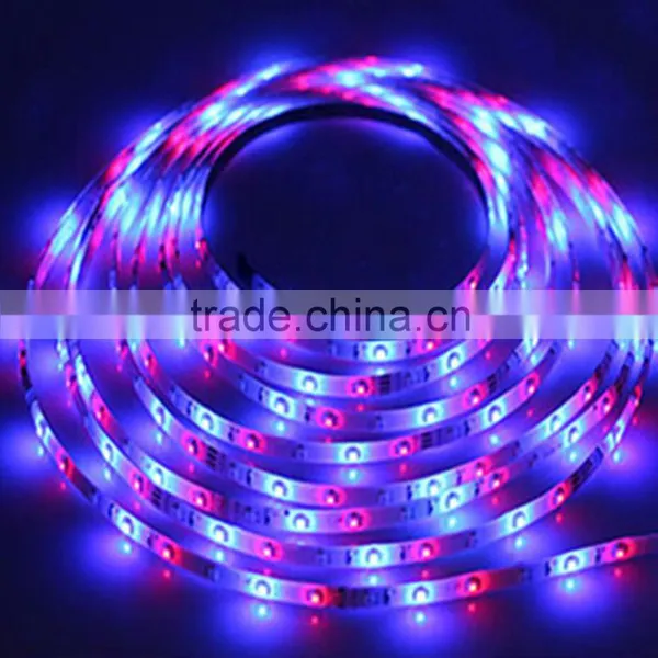 Rgbw Led Strip Rgb Led Trip Light photo-2