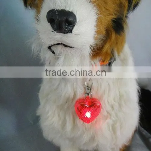Pets Clothes and Accessories