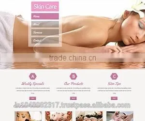 C2c B2c Website Development photo-4