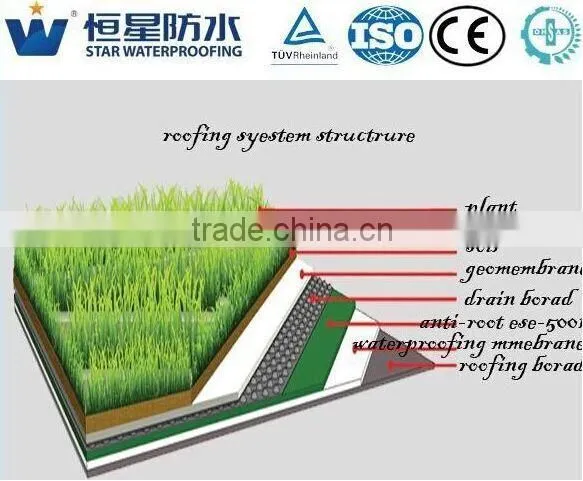 5mm APP Roofing Asphalt Watrproof Membrane photo-3
