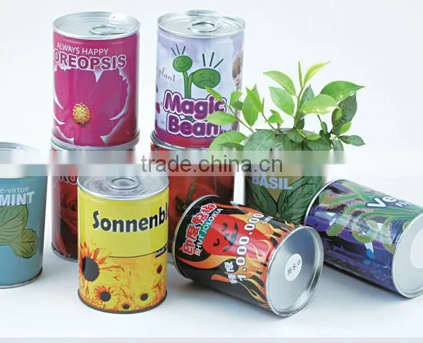 Mini Cans Plant Mini Artificial Plants Decorative Artificial Plants