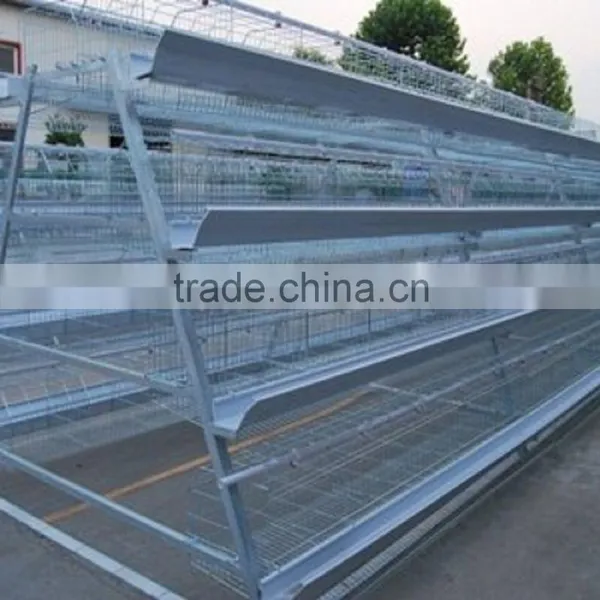 4 Tiers A Type Layer Chicken Battery Cage for Poultry Farm photo-3
