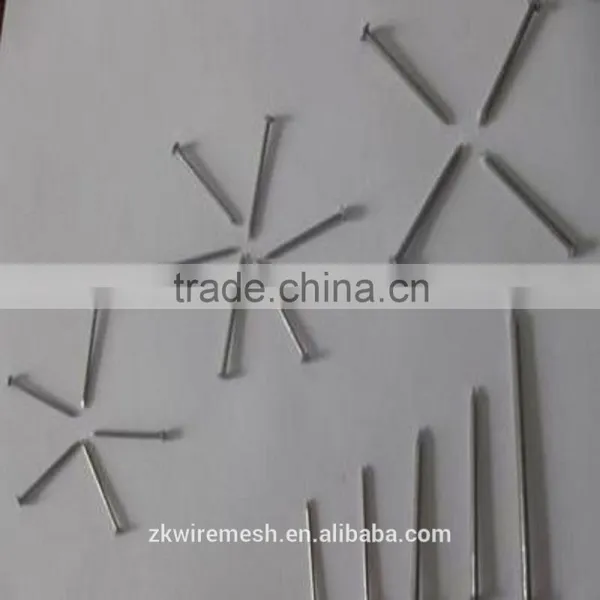 Galvanized Common Nails/Common Wire Nails/Iron Nails photo-6