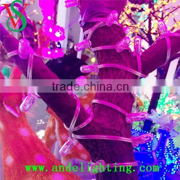 12 Volt Replaceable LED Running Belt Light for Chiristmas Decorations photo-6