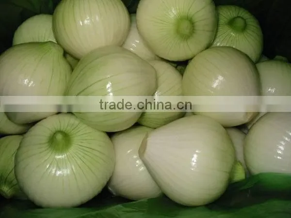 Onion Processing Line/onion Peeling Cutting Washing Machine/onion Peeler Cutter Washer photo-4