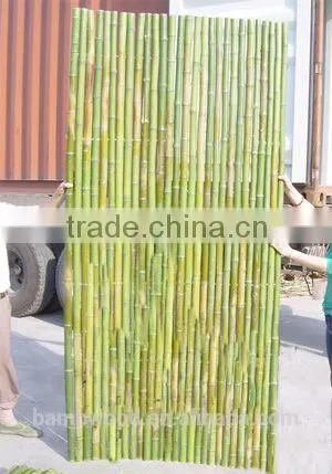 Natural Eco-friendly Bamboo Fencing photo-6