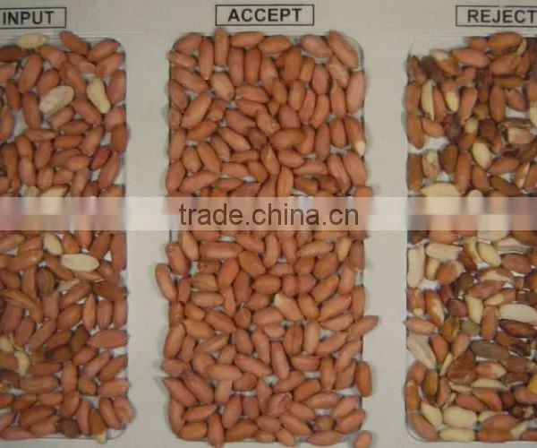 5000+pixel With Patented Ejector Groundnut Color Sorter With Hign Speed DSP Technology ,groundnut Grading Machine photo-5