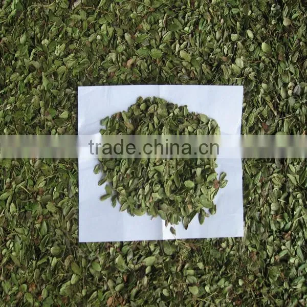 Dried Cranberry Leaves
