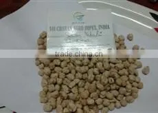 Indian Chick Peas photo-2