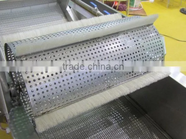 WA-2000 Commercial and Electric Type Fruits and Vegetable Washing Cleaning Machine With Rotating Drum photo-5