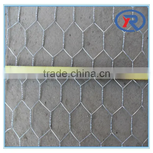 Trade Assurance 1 Inch Galvanized Welded Wire Mesh photo-3