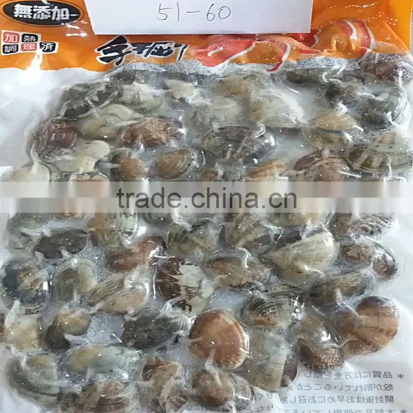 Boiled Short Neck Clam Nature Fresh FAO61 photo-2