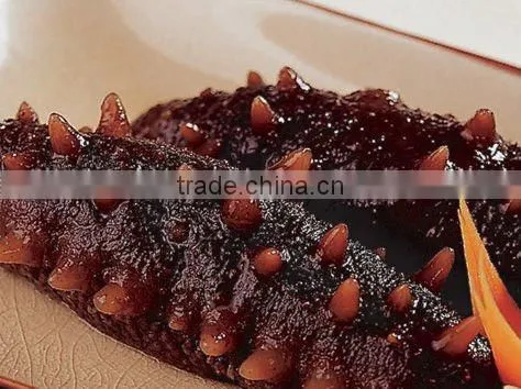 Sea Cucumber