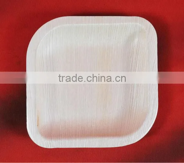 Biodegradable Tableware photo-5