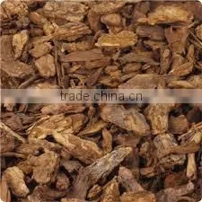 Pine Bark Extract photo-3