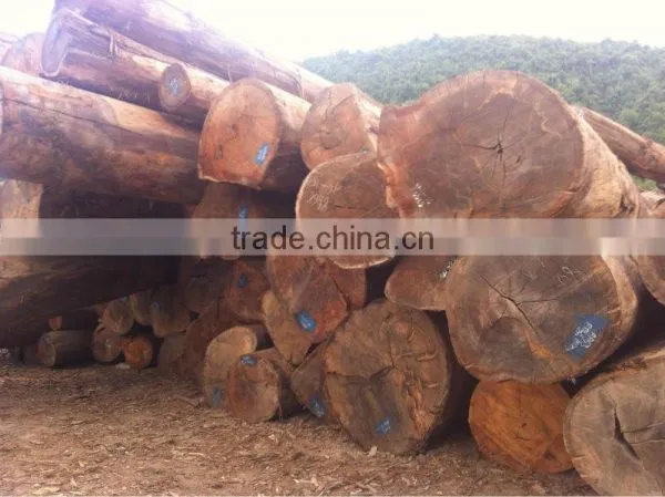 ANISOPTERA ROBUSTA LOGS FROM LAOS