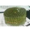 Top Quality Coil Nail in China