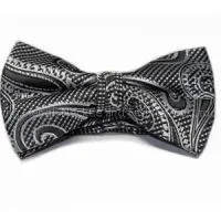 Mens Paisley Bow Tie