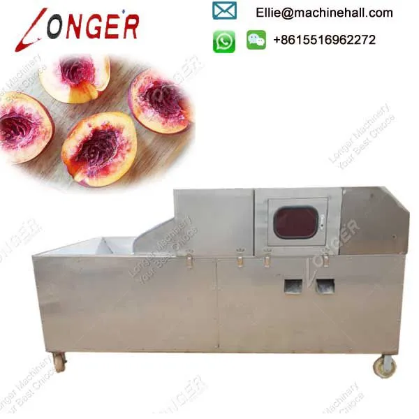 Fruit Factory Use Automatic Cherry Plum Pitting Machine photo-2
