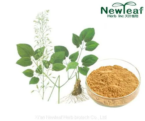 Epimedium Extract