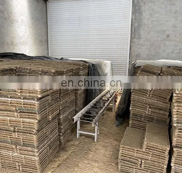 Kubota Similar Paddy Seedling Machine photo-5