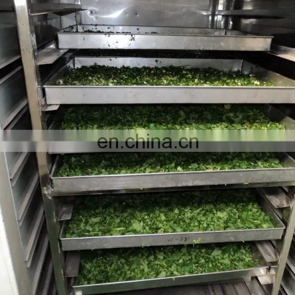 300kg Large Hot Air Industrial Drying Machine of Moringa Leaves Leaf Drying Machine photo-5