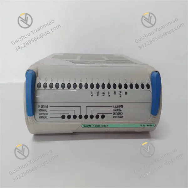 1C31194G01 EMERSON Valve positioner electronic module