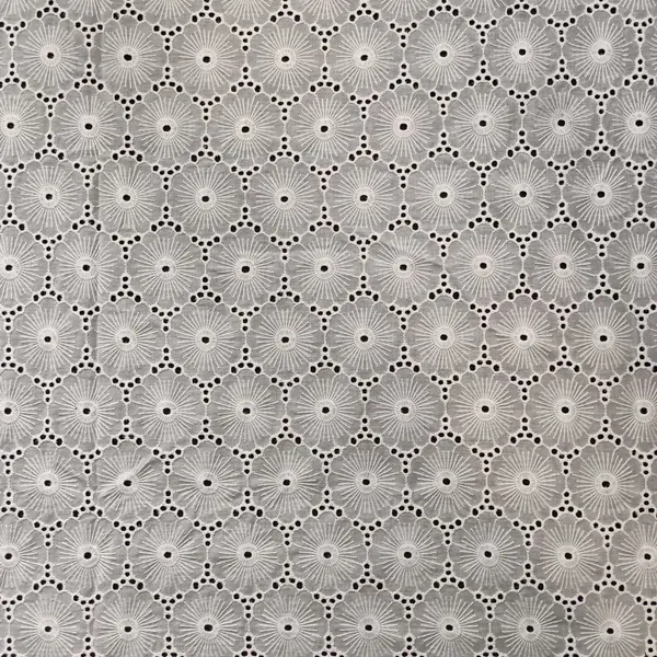 XE265 White Cotton Voile Schiffli Embroidered Fabric For Garments Design Home Decoration photo-2