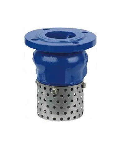 ST027H42X Flange Bottom Valve， Flanged Connection, Lift Type Foot Valve