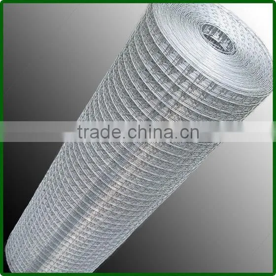 High Quality 8 Gauge Galvanized Welded Wire Mesh photo-3