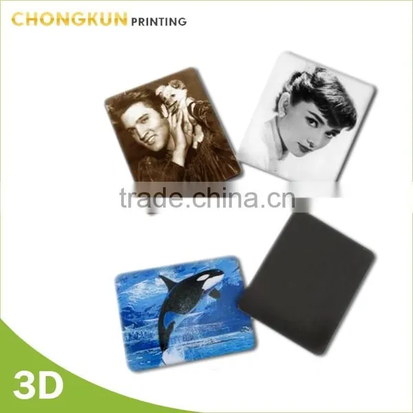 High-quality Promotional Fridge Magnet(passed EN71)/2013 New Design Hot Sale Fridge Magnet photo-3